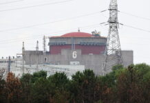 AIEA condamnă drept ”inacceptabilă” uciderea inginerului-şef al Centralei Nucleare Zaporojie, Aleksandr Iakovlev, într-un atac cu dronă, atribuit de către Moscova Kievului