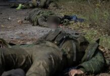 Studiu – Numărul victimelor înregistrate de Rusia în războiul împotriva Ucrainei depăşește pierderile umane din Bătălia de la Stalingrad