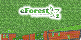 Sursă: eforest.estate