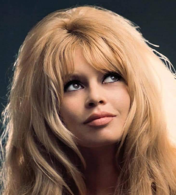 VIDEO | Decesul actriței Brigitte Bardot | Apropiații vedetei, la Saint-Tropez pentru a pregăti funeraliile