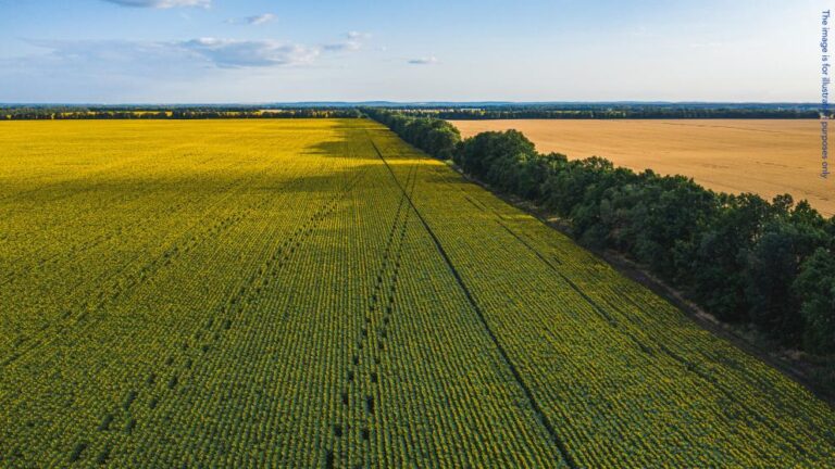 European prosecutors seize assets in Italy as they uncover agricultural funding fraud in Sardinia
