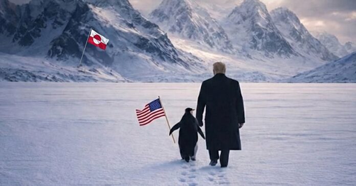 Pinguin