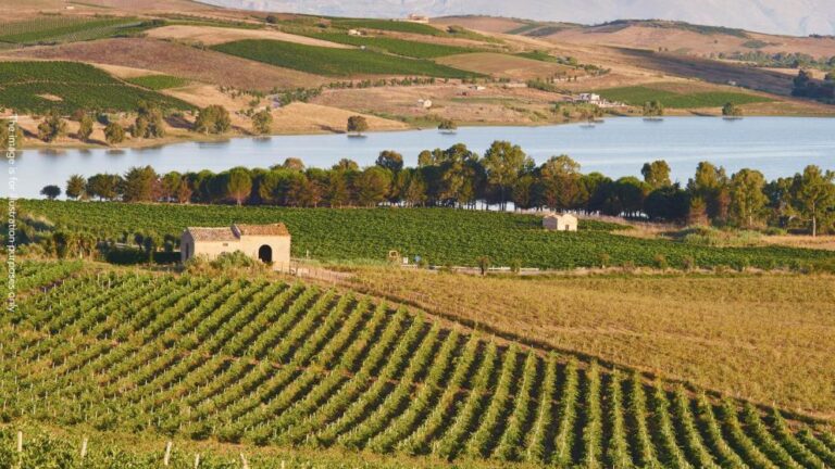 EPPO dismantles Italian criminal group behind €1.4 million agricultural funding fraud