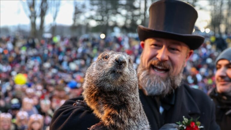 Punxsutawney Phil | Faimoasa marmotă din Pennsylvania a prezis cât timp mai durează iarna