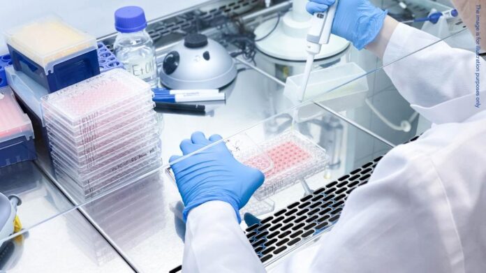 Netherlands: EPPO concludes subsidy fraud case with punitive order in cancer research projects