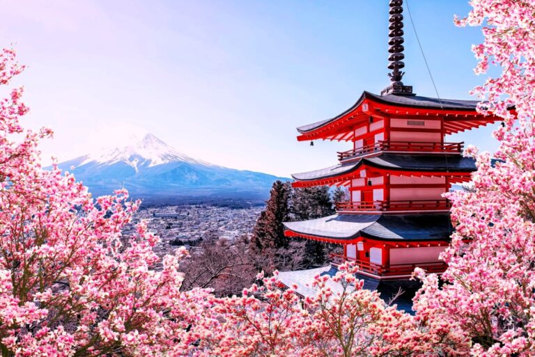 VIDEO | Japonia: Sezonul înfloririi cireșilor a ajuns luni la apogeu