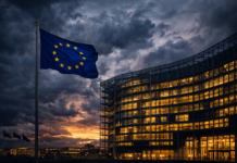 What do Europeans currently think of Americans, NATO, and an EU-flavored Ukraine?