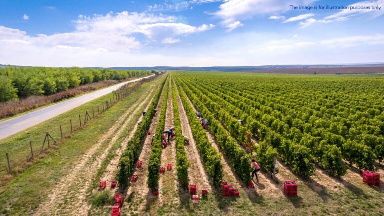 Four indicted in Romania for fraud involving funds for young farmers