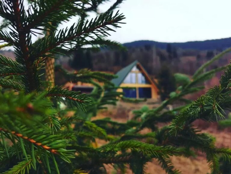 Sute de cabane şi vile din judeţele Prahova şi Braşov, libere în perioada sărbătorilor de Paşti
