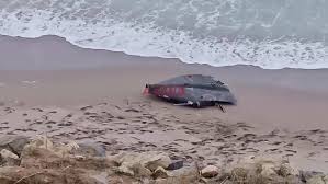 Bucăţi de dronă, descoperite pe plaja de la Tuzla