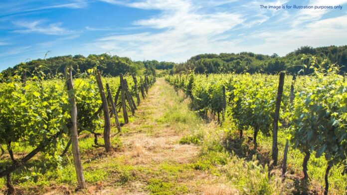 21 suspects arrested in Croatia in probe into suspected corruption and fraud involving agricultural funds