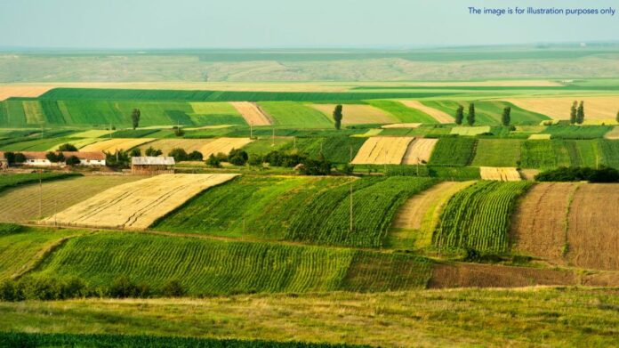 European prosecutors investigate €3.5 million fraud in Romania involving 237 EU-funded agricultural projects