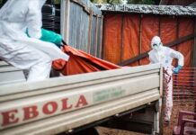 OMS revizuiește numărul de cazuri de Ebola în RDC și Uganda de la 906 la doar 116