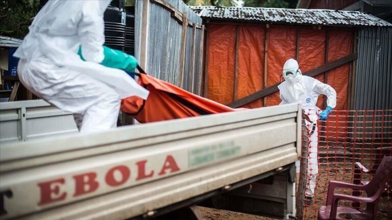 Ebola | Cel puţin şase americani au intrat în contact cu virusul Bundibugyo în timpul actualei epidemii din Republica Democratică Congo