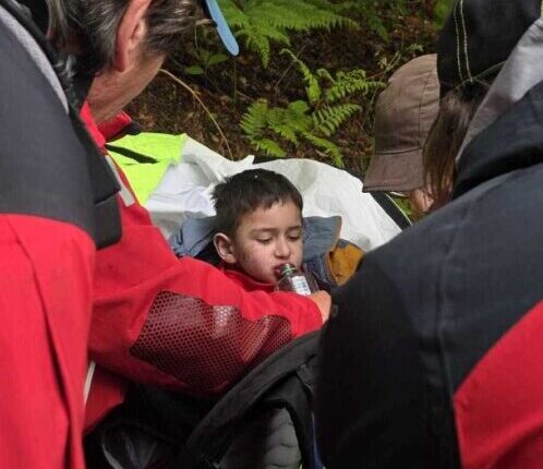 Missing Romanian boy found after 2 days in forest after massive search operation