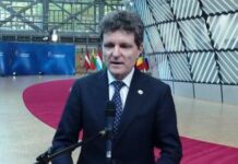 Nicușor Dan: Lăsaţi-mă să mă întorc în ţară ca să înţeleg şi eu care sunt realităţile. Am desemnat un prim-ministru ca să formeze un guvern