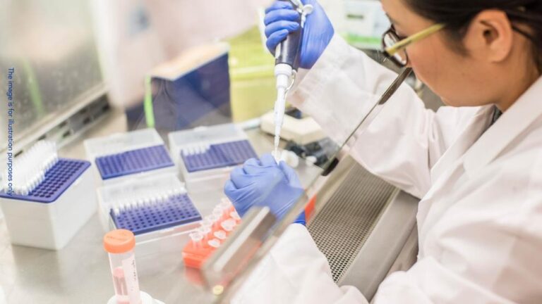 European prosecutors probe possible fraud in Sicily involving EU funds for veterinary public health