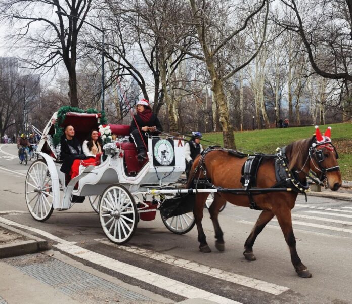 Caleasca Central Park