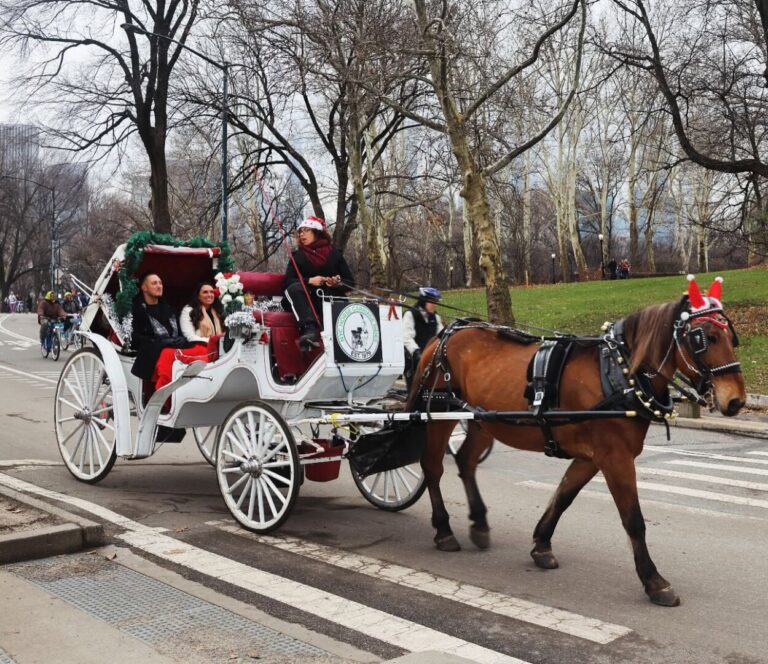 VIDEO | Accident de caleaşcă soldat cu un deces la New York. Mamdani vrea să interzică aceste atracţii turistice, pentru „binele cailor”