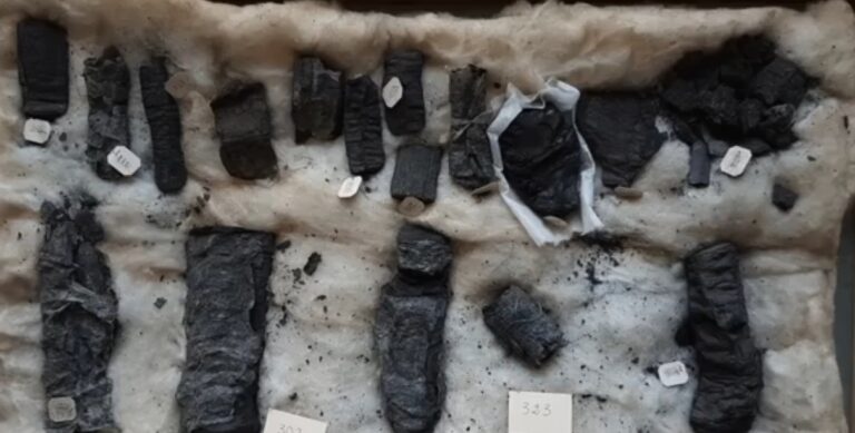 VIDEO | Textul complet al unui papirus carbonizat din Herculaneum, descifrat pentru prima dată după două milenii