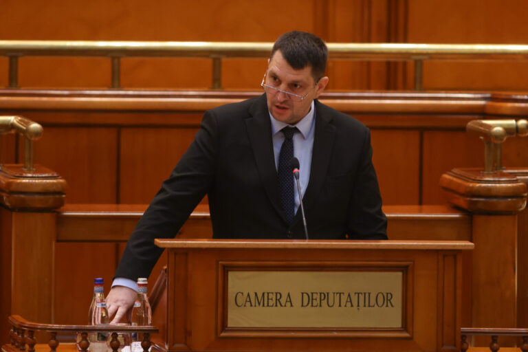 Ștefan Stoica (PNL): Nicio instanță nu poate dicta unui partid politic ce să decidă și cum să voteze