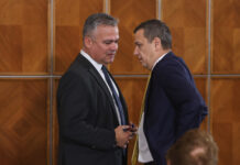 PSD a decis să intre în Guvernul Veștea