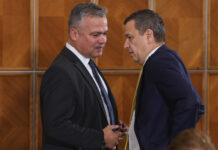 PSD a decis să intre în Guvernul Veștea