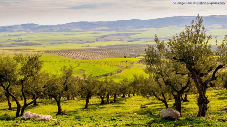 57 convicted in Greek €1.7 million agricultural subsidy fraud