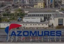 Acţionarii Romgaz au aprobat preluarea Azomureş